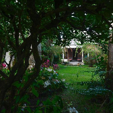 Le Medinilla Panzió Bras-Panon Kültér fotó
